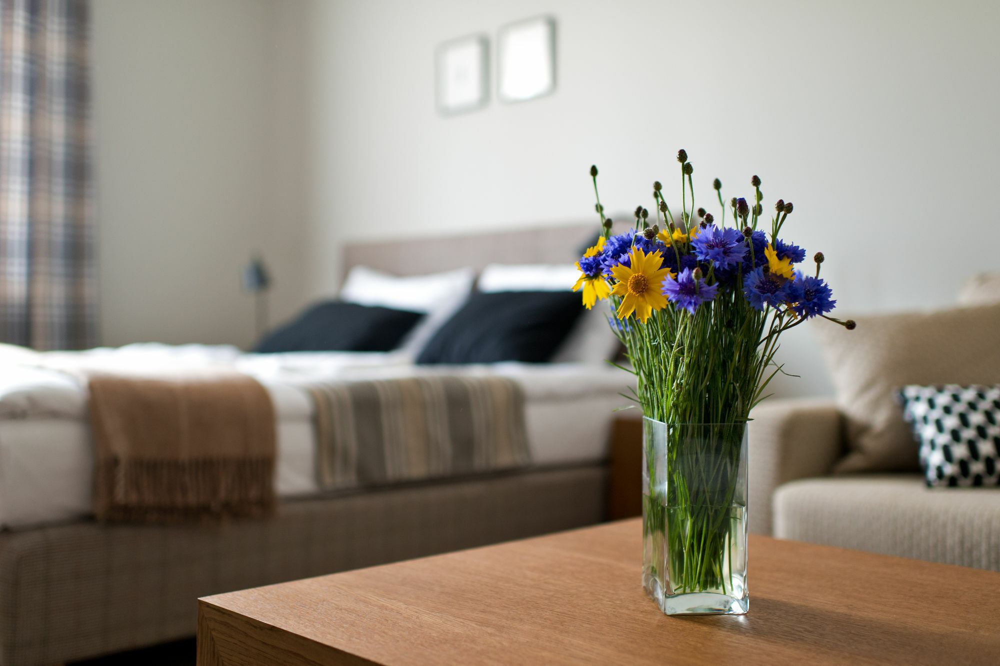 Palanga Visit Apartments And Spa Buitenkant foto